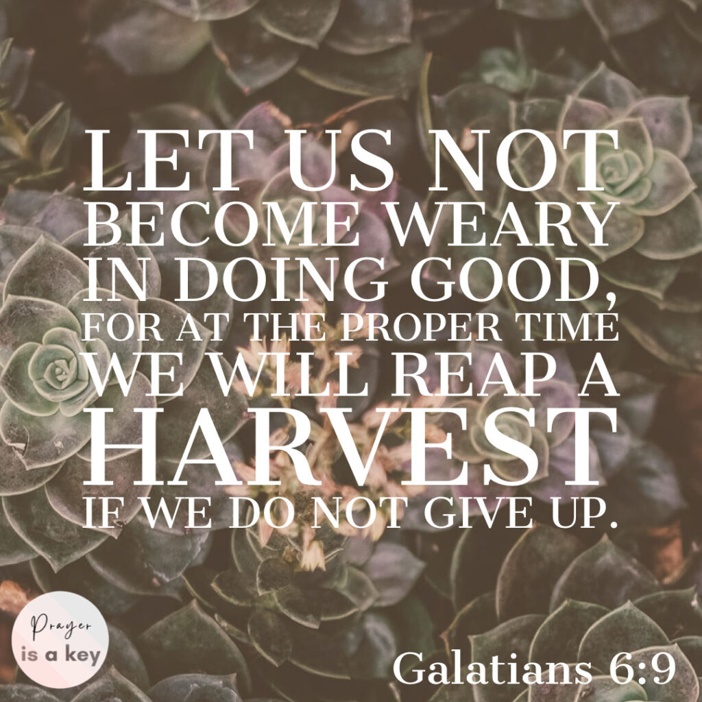 Scripture, bible verse, God's word, Galatians 6:9